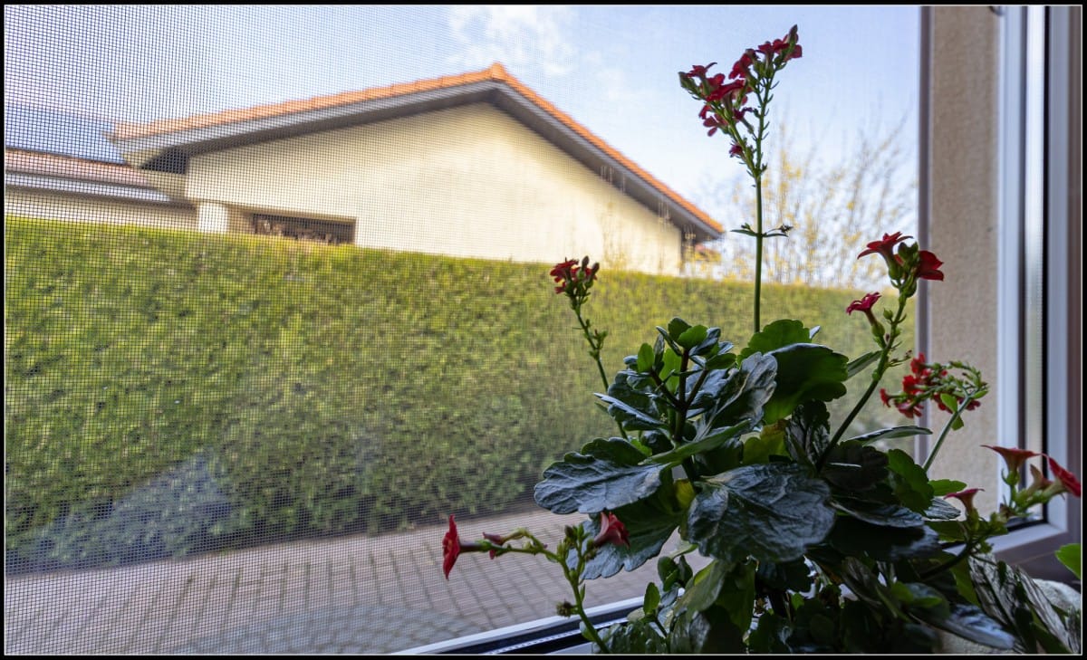 Dom 4 pokojowe na Sprzedaż