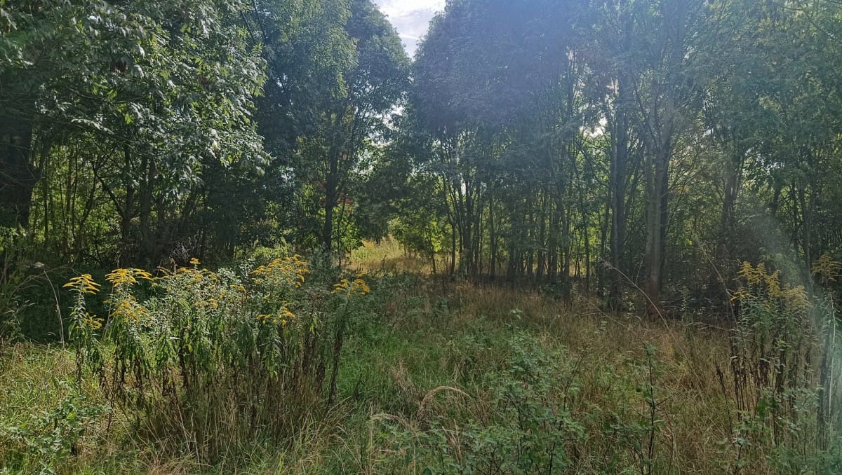 Działka  pokojowe na Sprzedaż