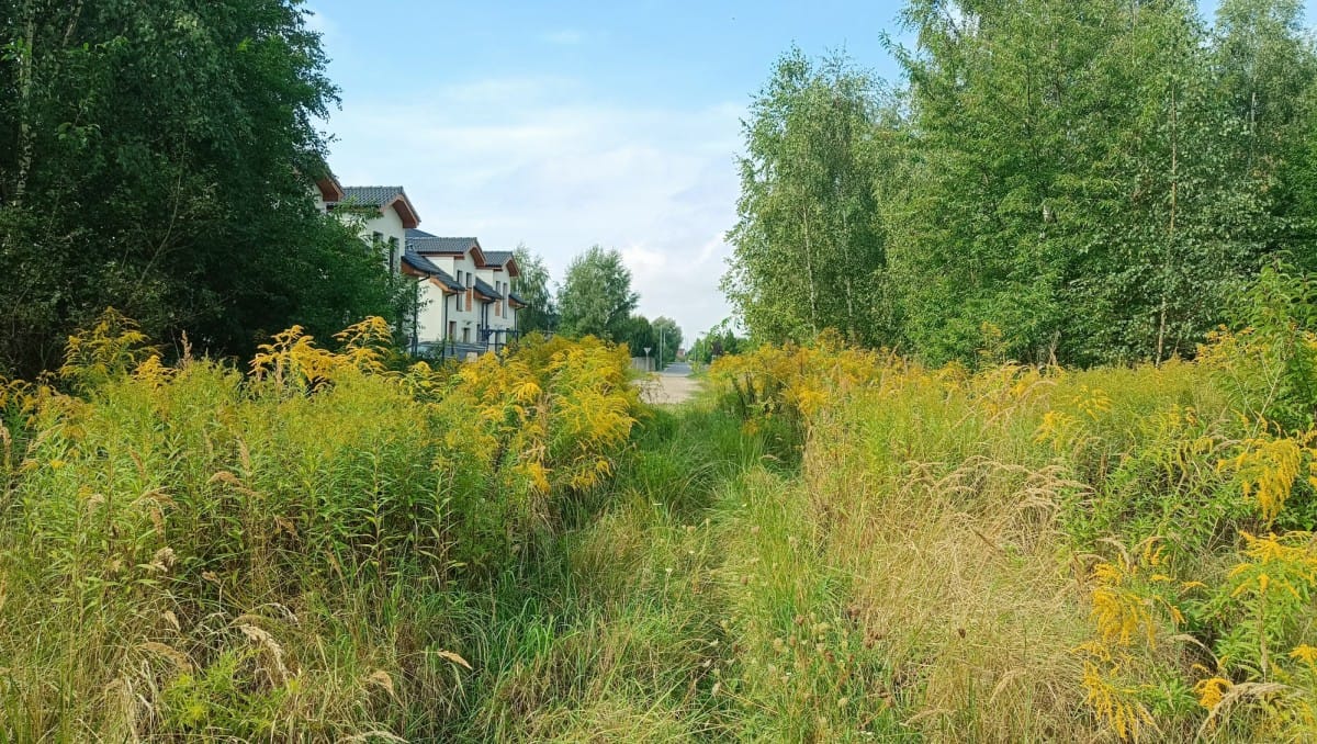 Działka  pokojowe na Sprzedaż