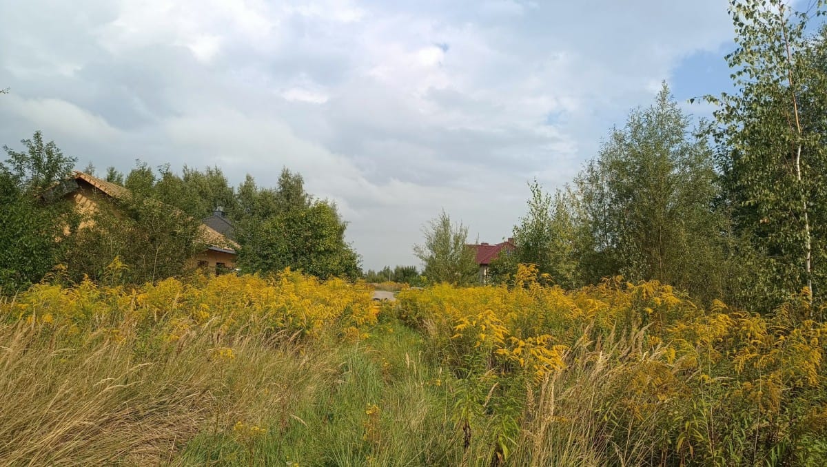 Działka  pokojowe na Sprzedaż