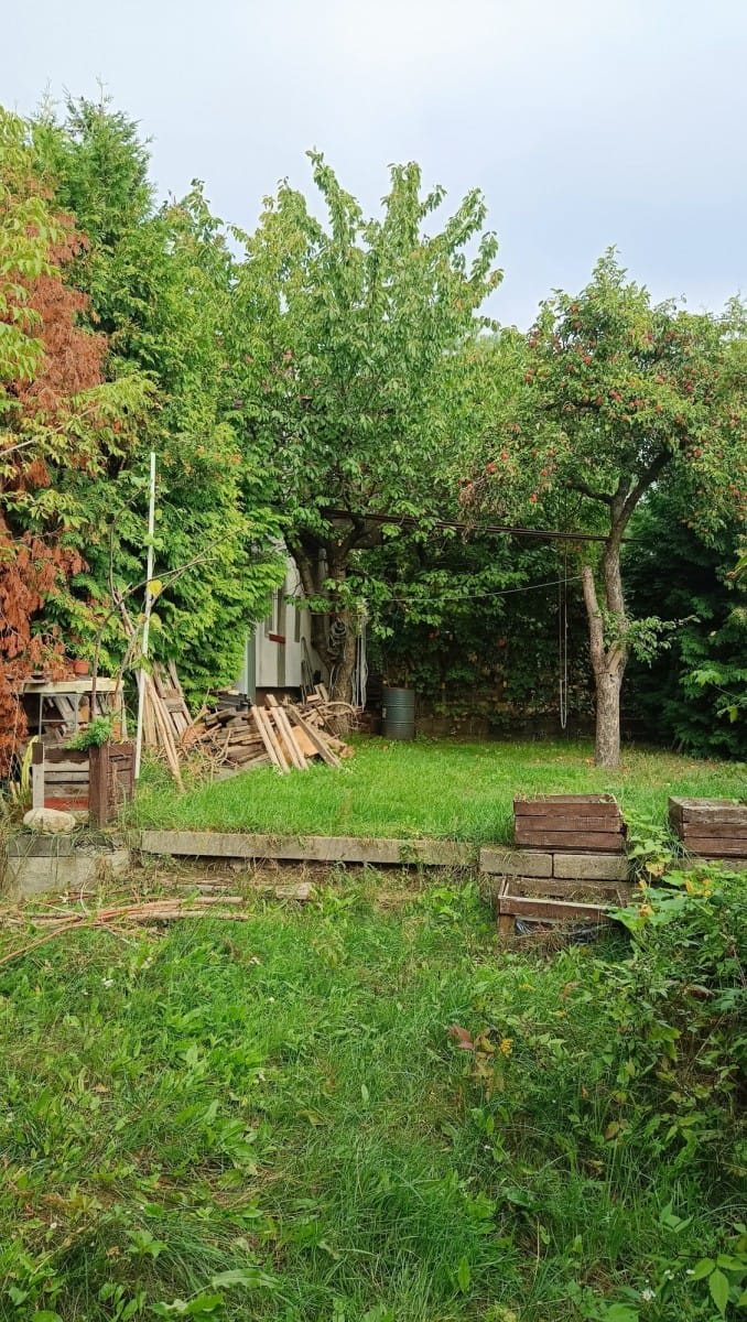 Dom 5 pokojowe na Sprzedaż