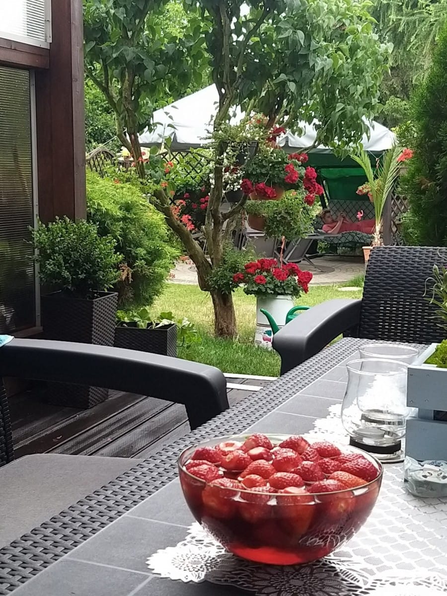 Dom 5 pokojowe na Sprzedaż