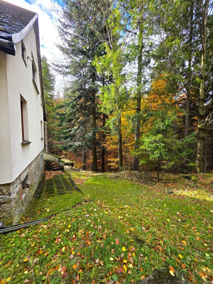 Dom 6 pokojowe na Sprzedaż