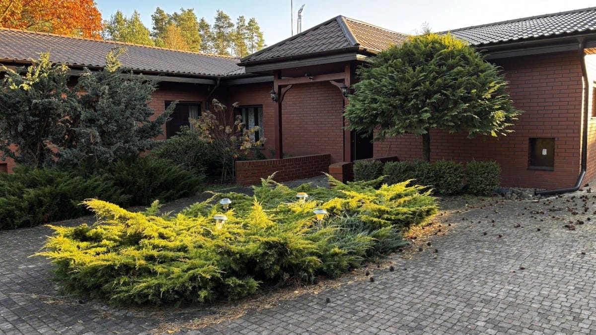 Dom 6 pokojowe na Sprzedaż