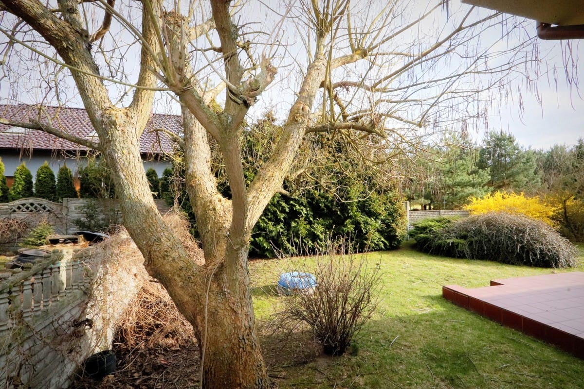 Dom 4 pokojowe na Sprzedaż