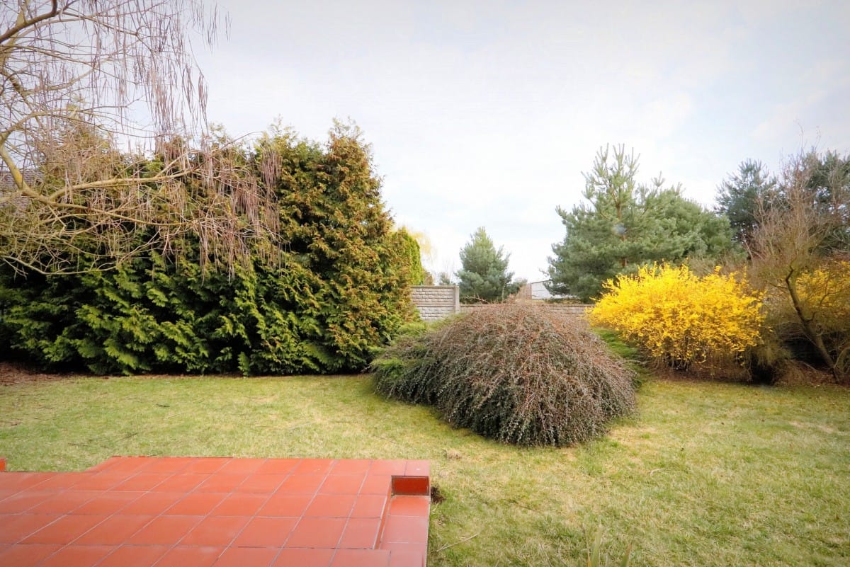 Dom 4 pokojowe na Sprzedaż