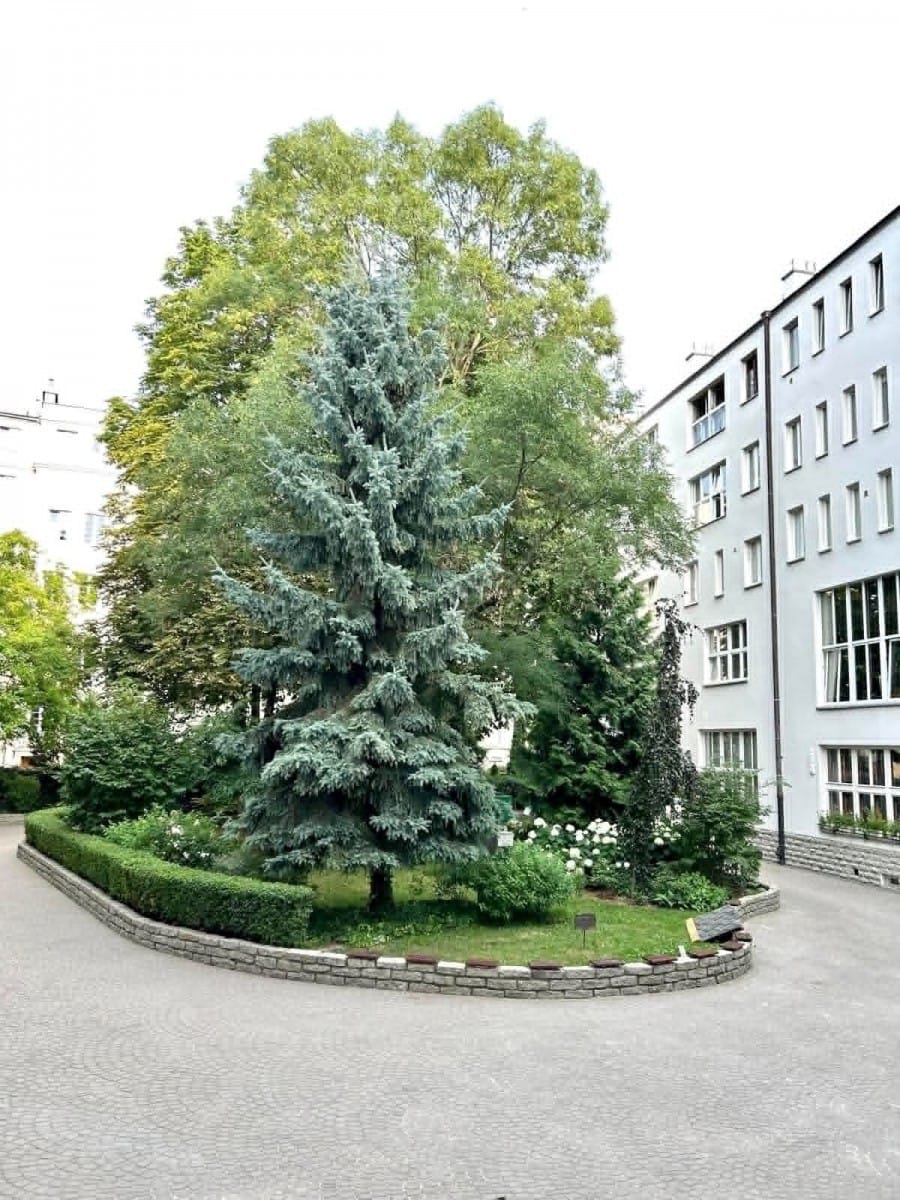 Mieszkanie 4 pokojowe na Sprzedaż