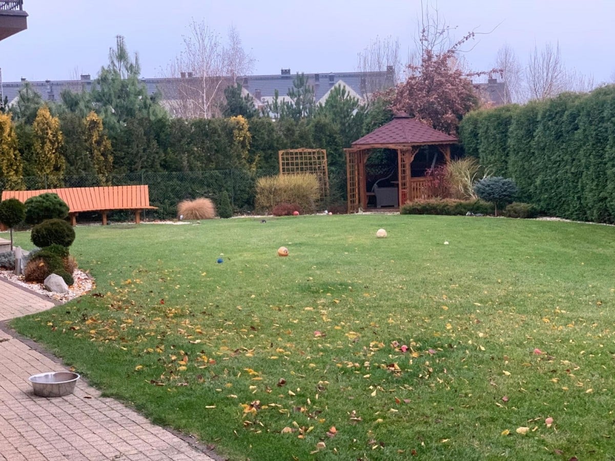 Dom 5 pokojowe na Sprzedaż
