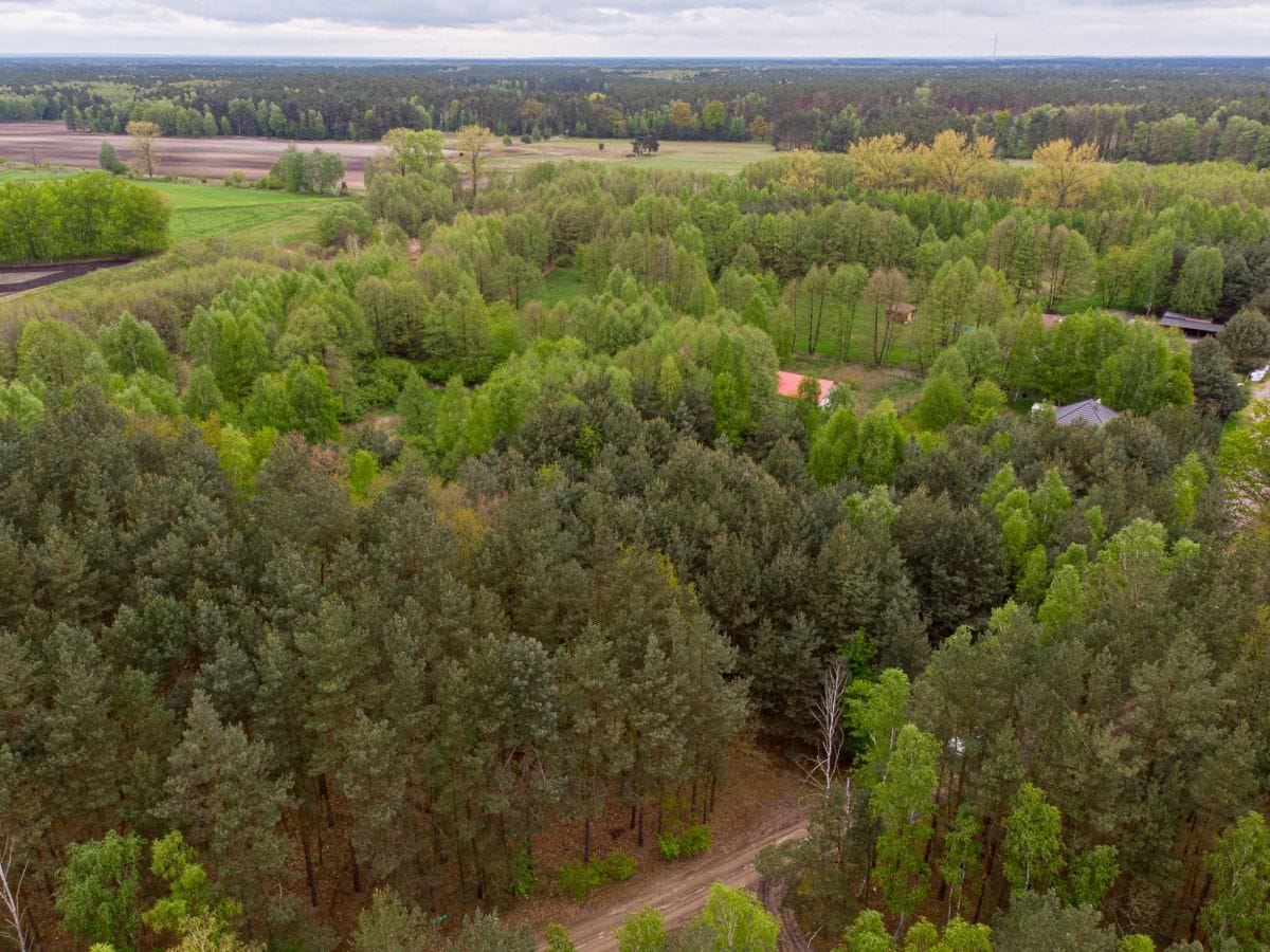 Działka  pokojowe na Sprzedaż