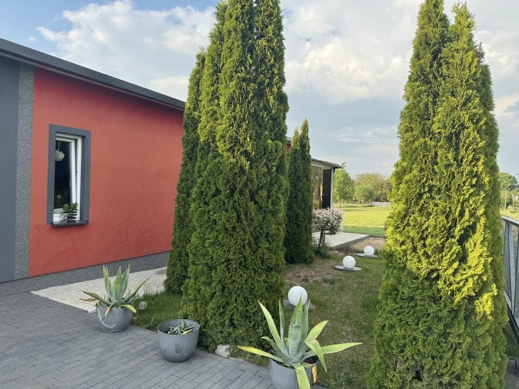 Dom 3 pokojowe na Sprzedaż