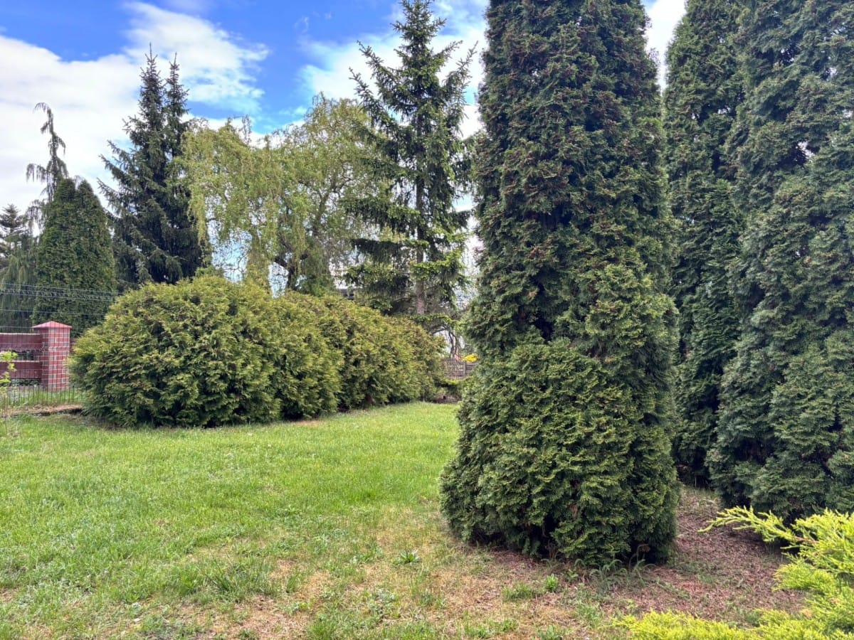 Dom 4 pokojowe na Sprzedaż