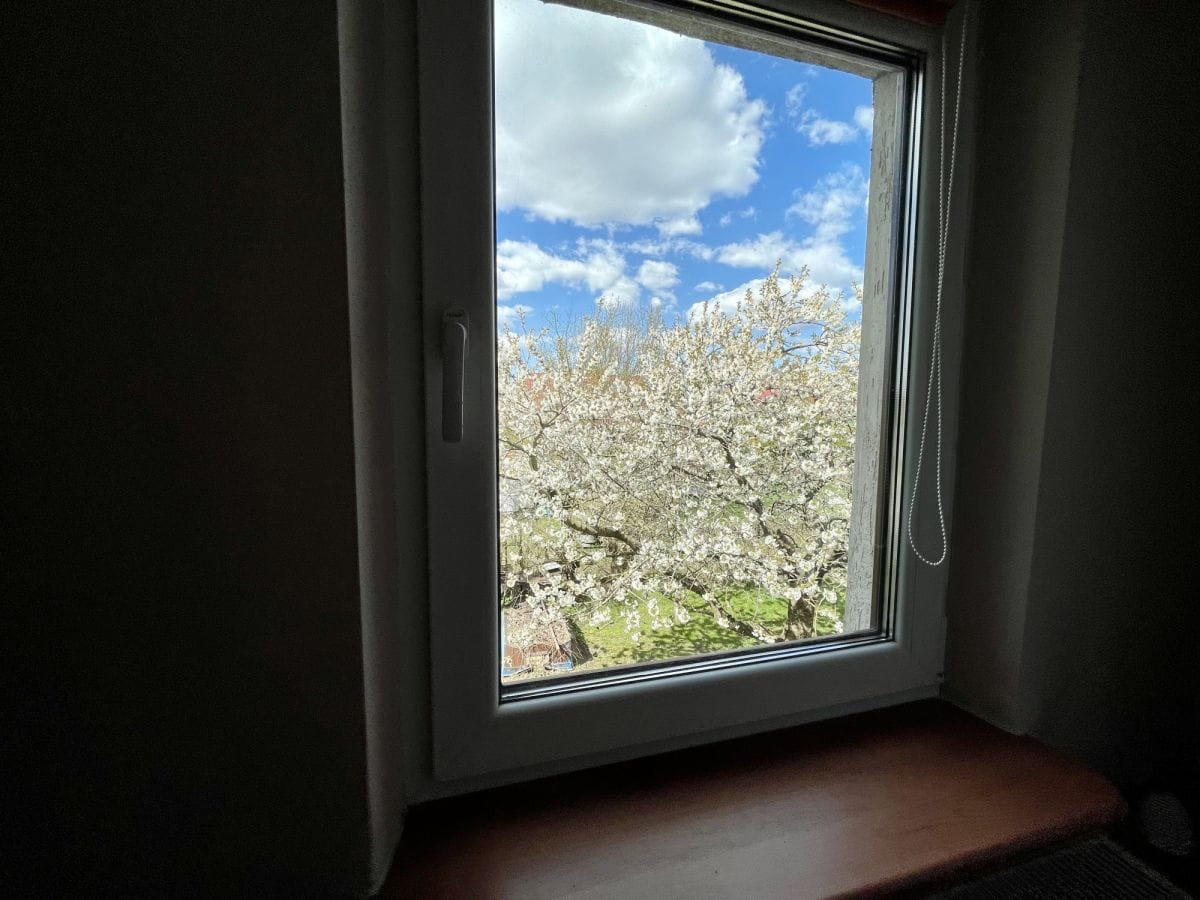 Dom 6 pokojowe na Sprzedaż
