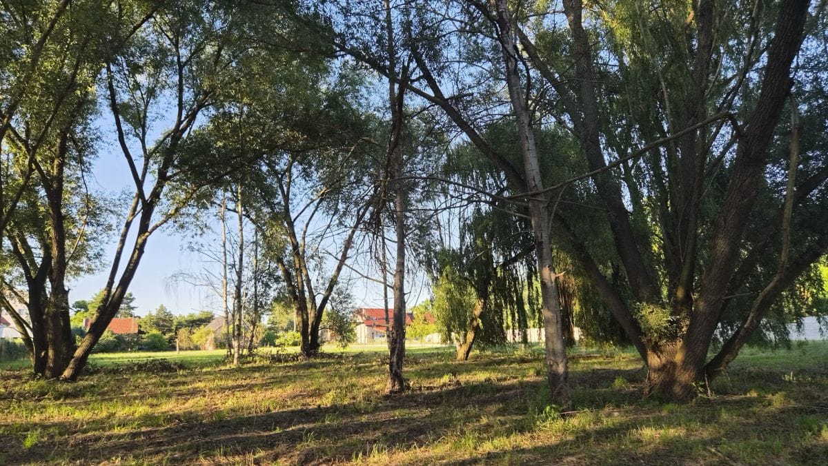 Działka  pokojowe na Sprzedaż