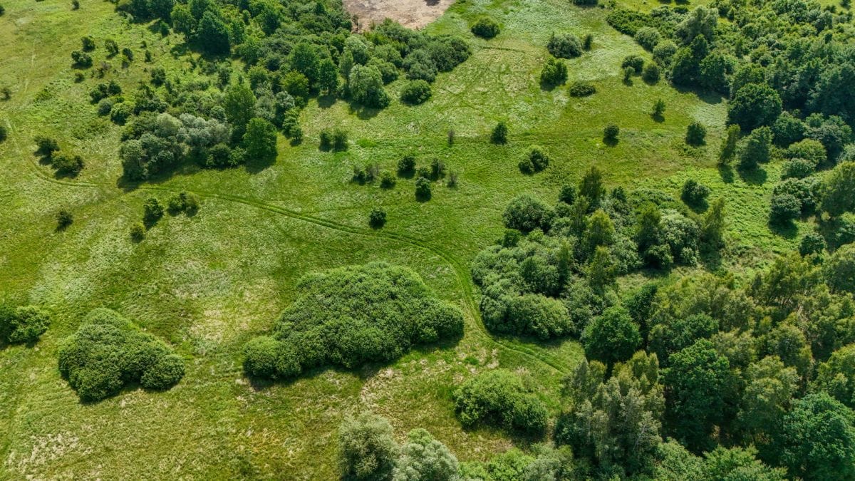Działka  pokojowe na Sprzedaż