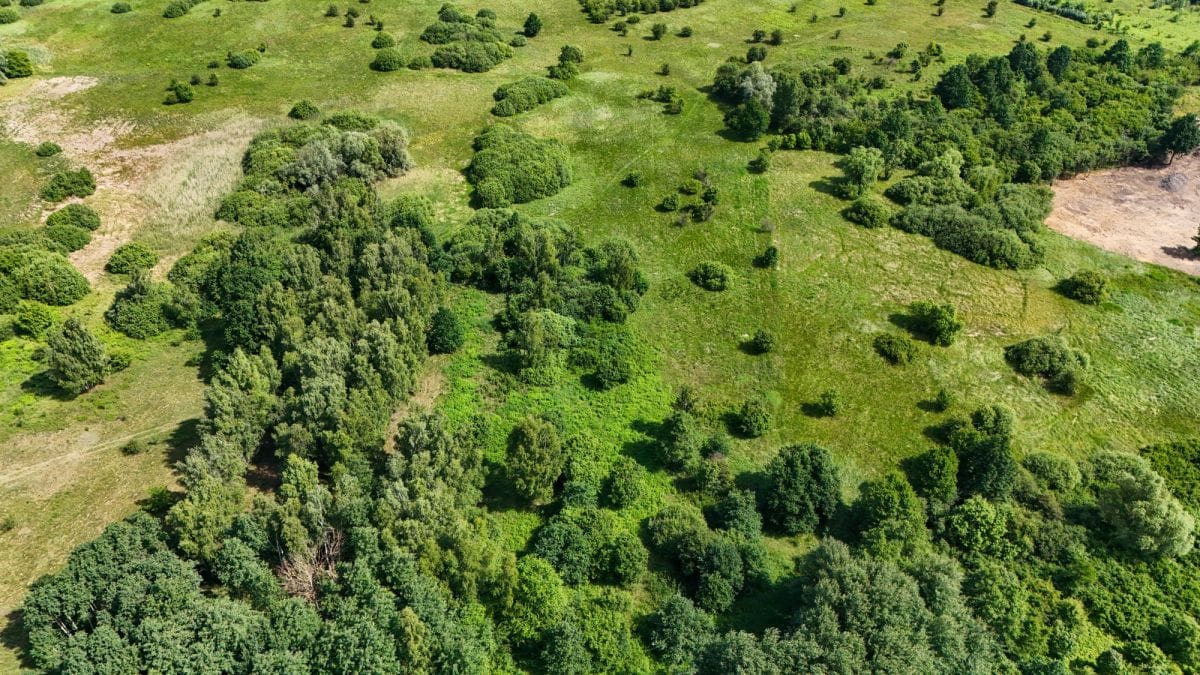 Działka  pokojowe na Sprzedaż