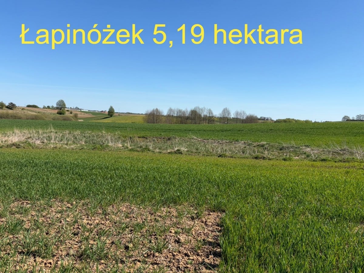 Działka  pokojowe na Sprzedaż