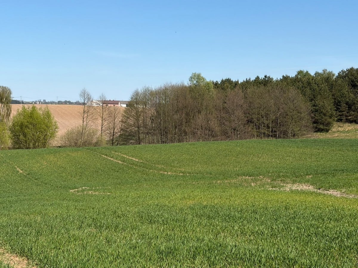 Działka  pokojowe na Sprzedaż
