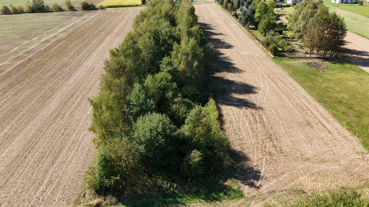 Działka  pokojowe na Sprzedaż