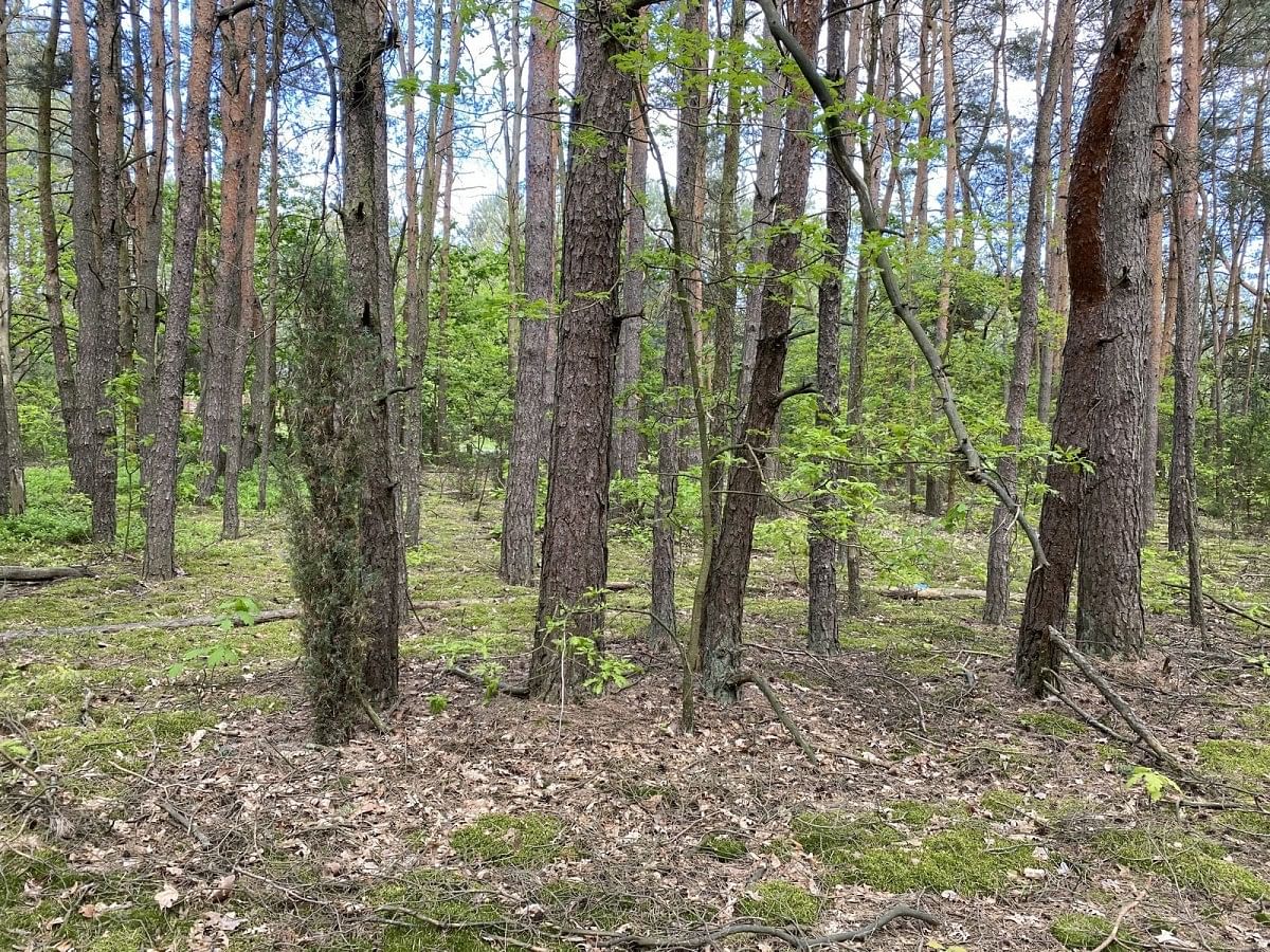 Działka  pokojowe na Sprzedaż