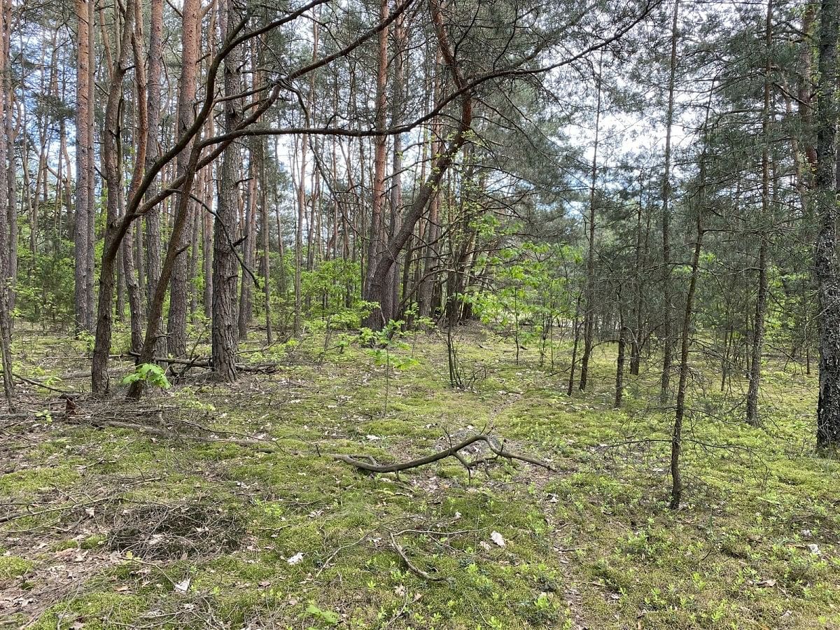 Działka  pokojowe na Sprzedaż