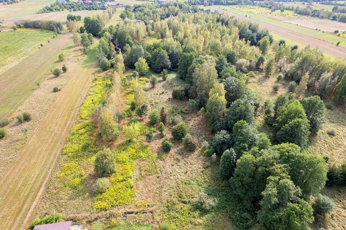 Działka  pokojowe na Sprzedaż