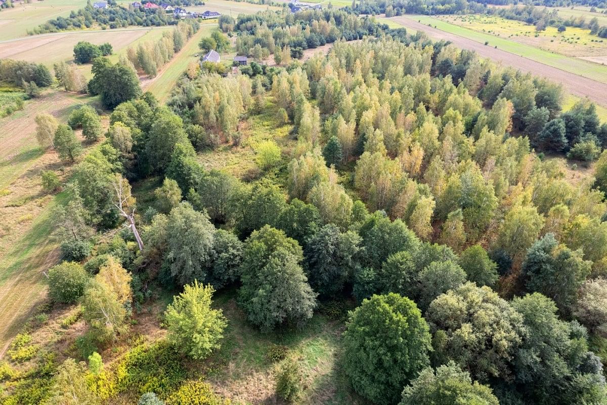 Działka  pokojowe na Sprzedaż