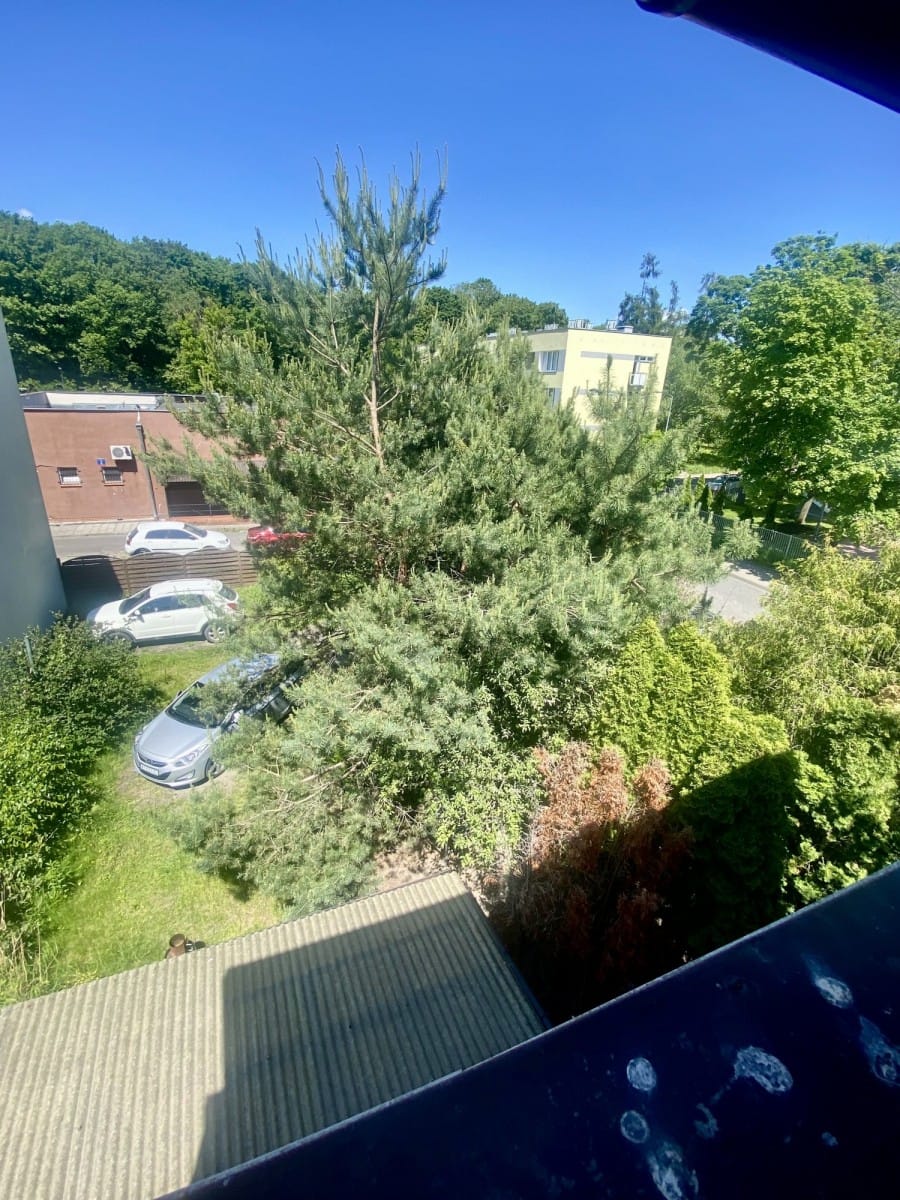 Dom 7 pokojowe na Sprzedaż