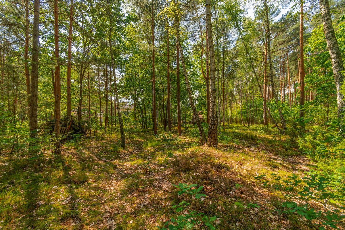 Działka  pokojowe na Sprzedaż