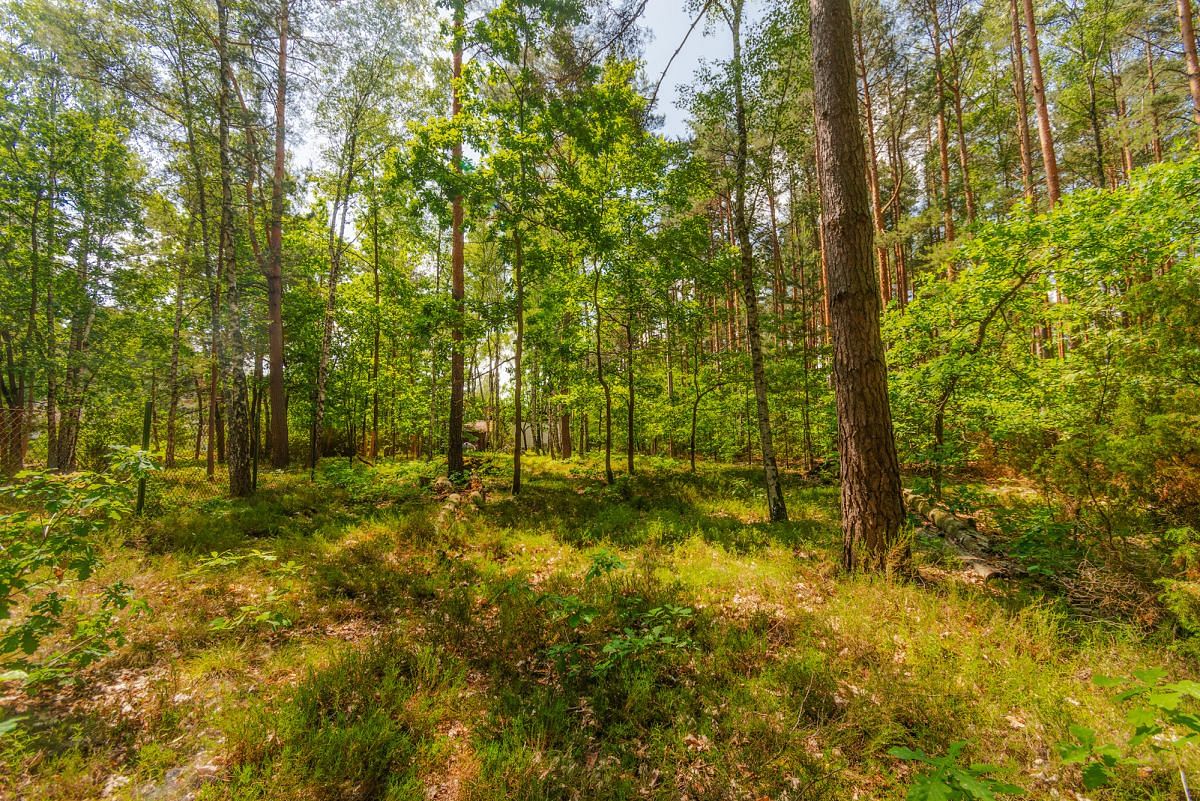 Działka  pokojowe na Sprzedaż