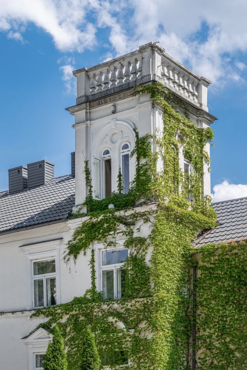 Dom 12 pokojowe na Sprzedaż