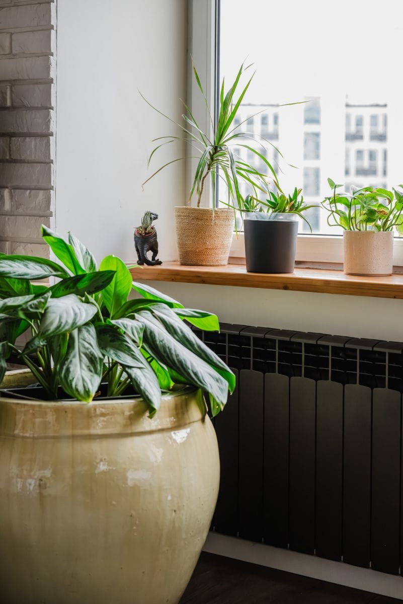 Mieszkanie 1 pokojowe na Sprzedaż