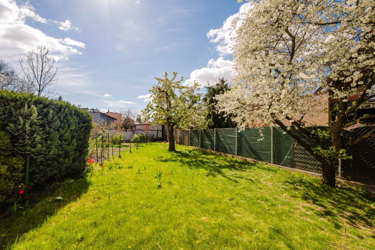 Lokal użytkowy  pokojowe na Wynajem