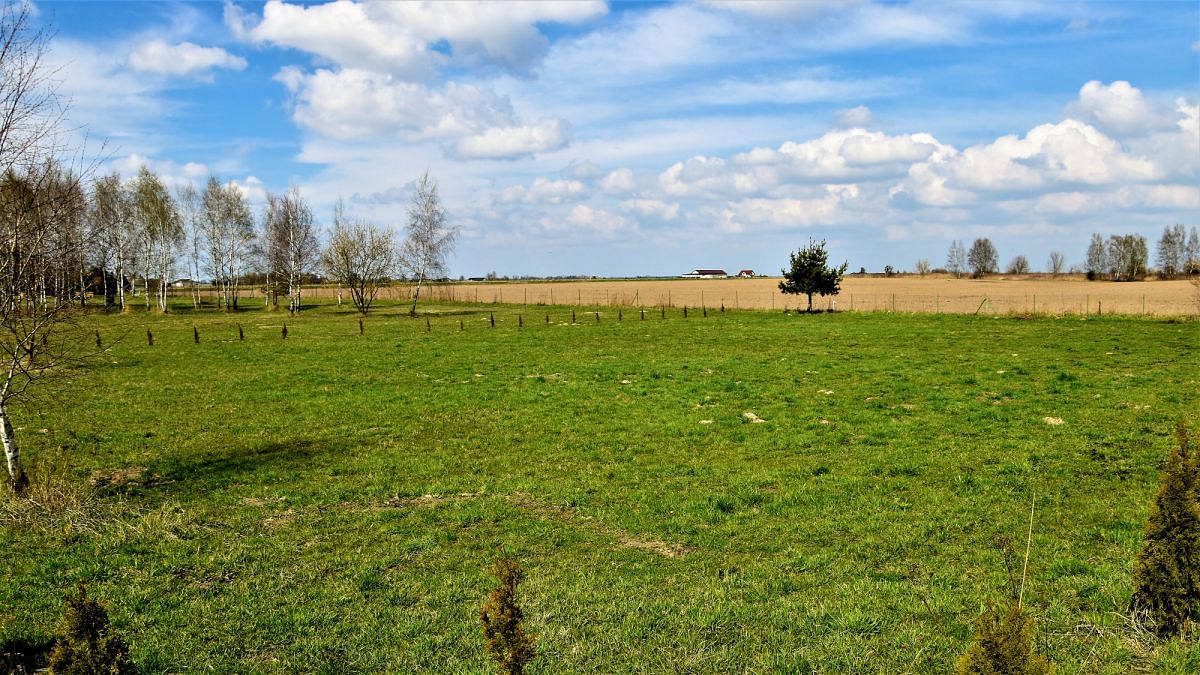 Działka  pokojowe na Sprzedaż