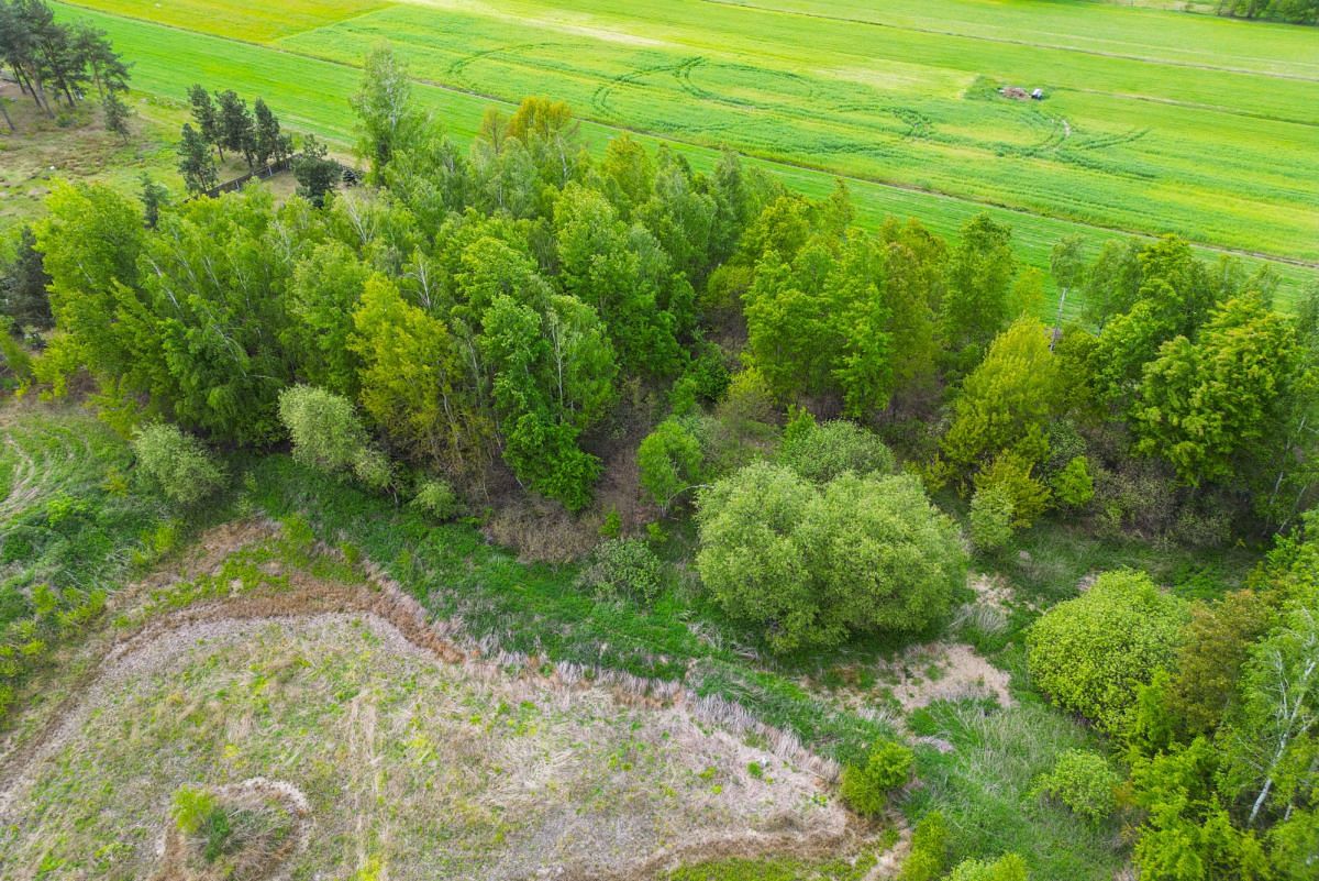 Działka  pokojowe na Sprzedaż
