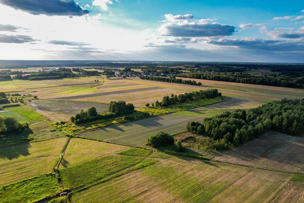 Działka  pokojowe na Sprzedaż