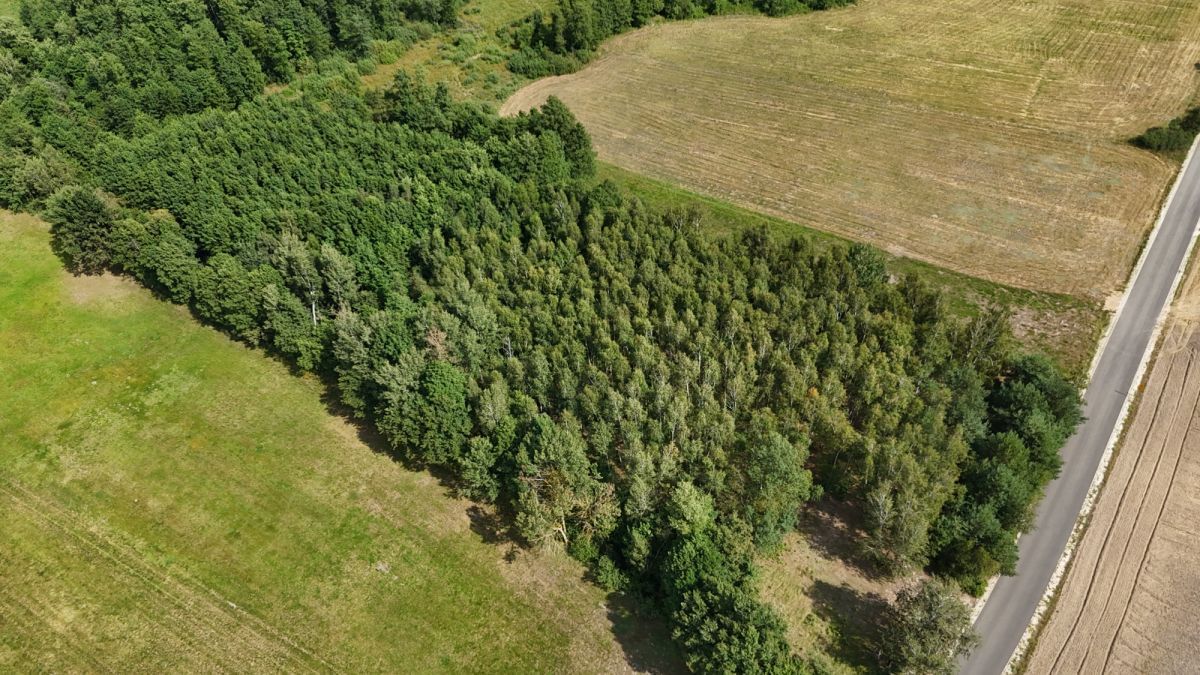 Działka  pokojowe na Sprzedaż