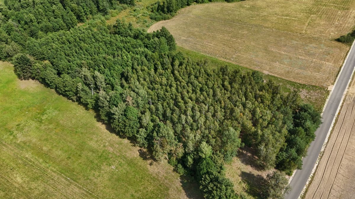 Działka  pokojowe na Sprzedaż