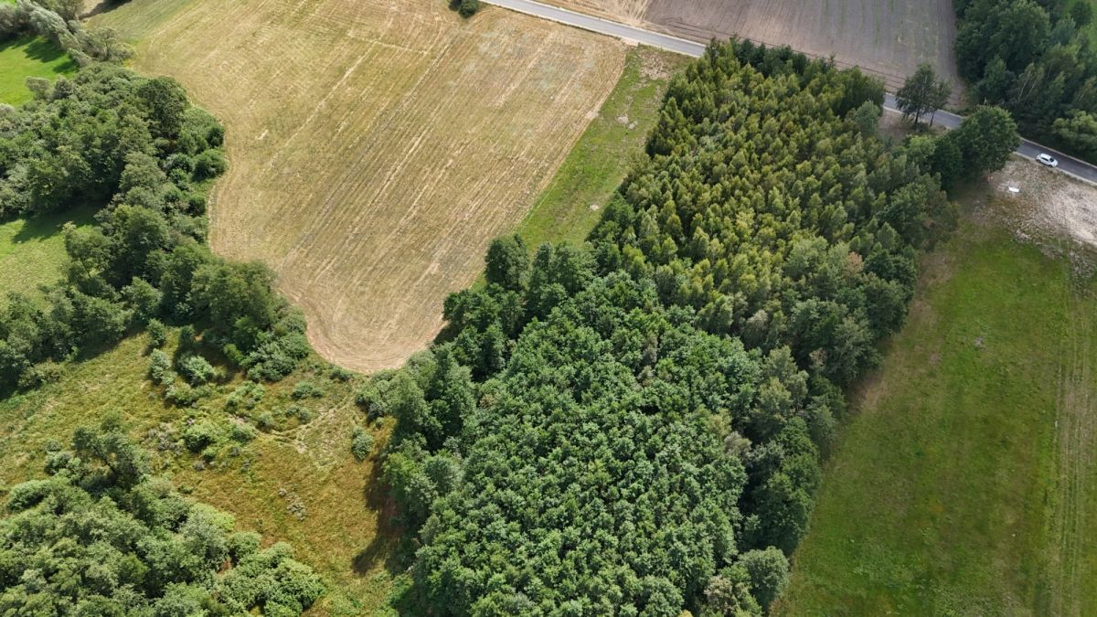 Działka  pokojowe na Sprzedaż