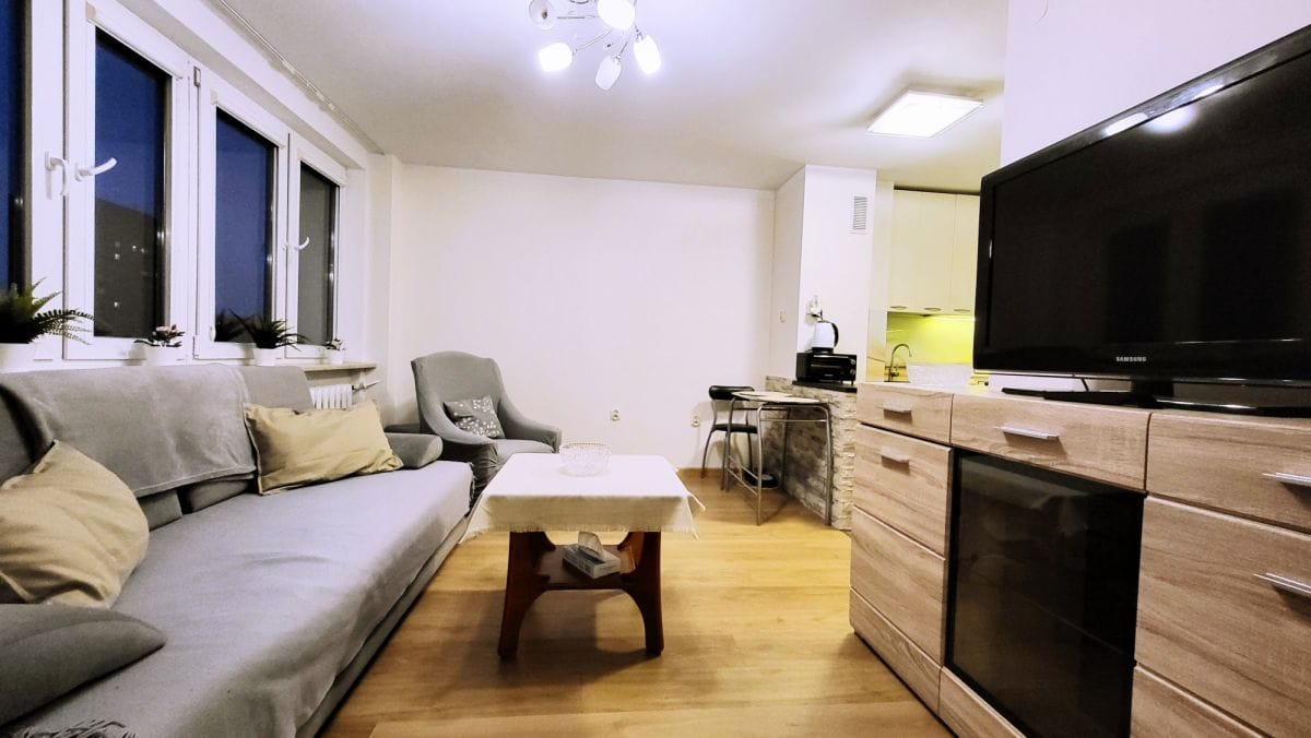 Mieszkanie 1 pokojowe na Wynajem