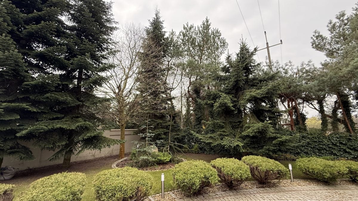 Dom 4 pokojowe na Sprzedaż