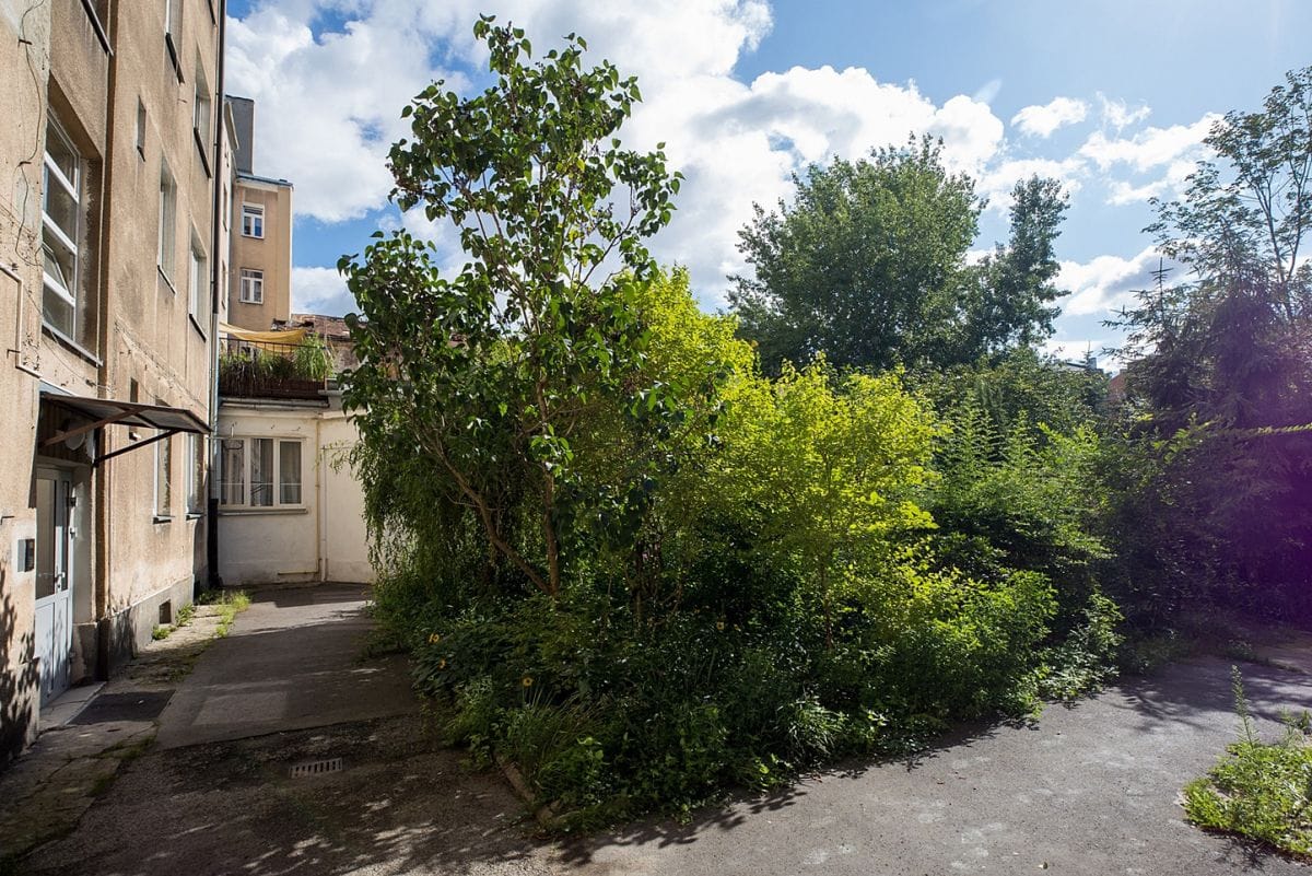 Mieszkanie 3 pokojowe na Wynajem