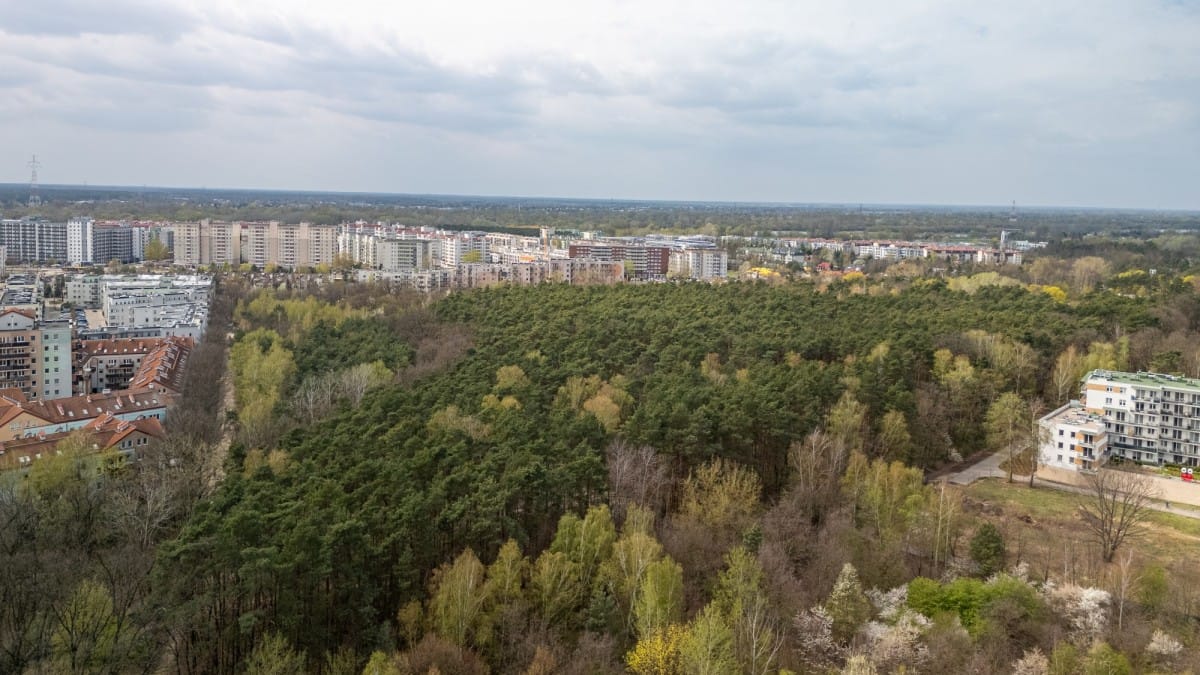 Mieszkanie 5 pokojowe na Sprzedaż