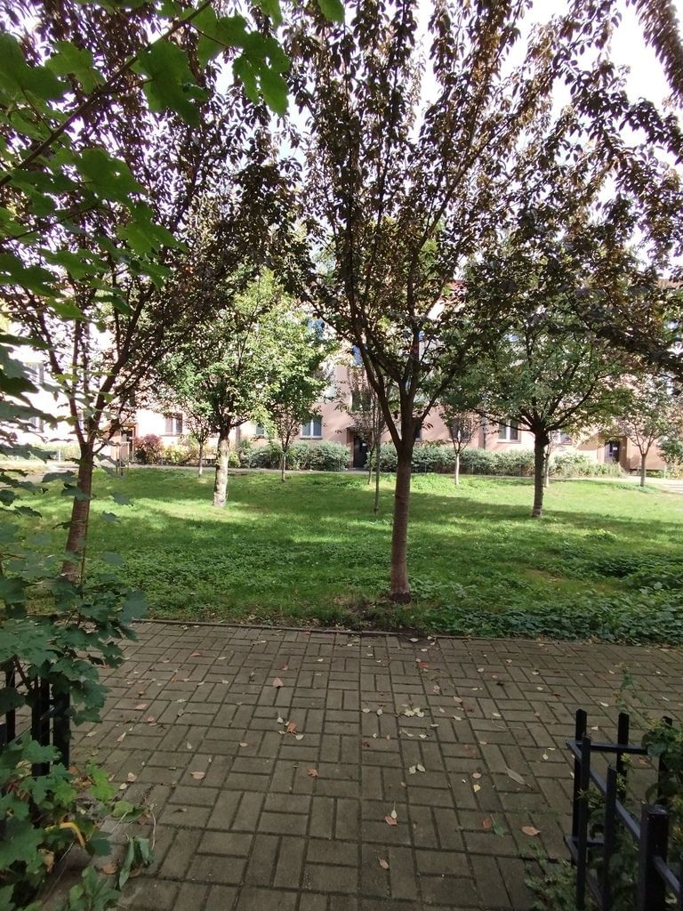 Mieszkanie 1 pokojowe na Wynajem