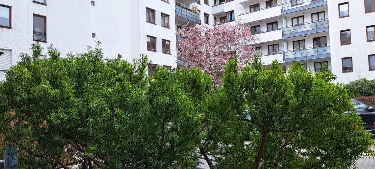 Mieszkanie 2 pokojowe na Wynajem