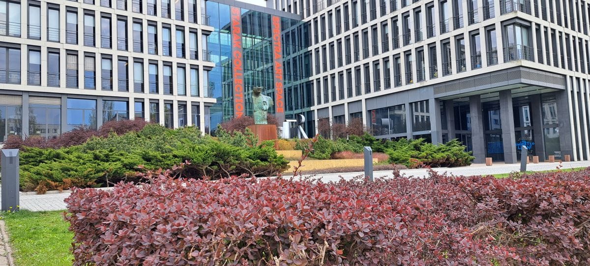 Mieszkanie 2 pokojowe na Wynajem