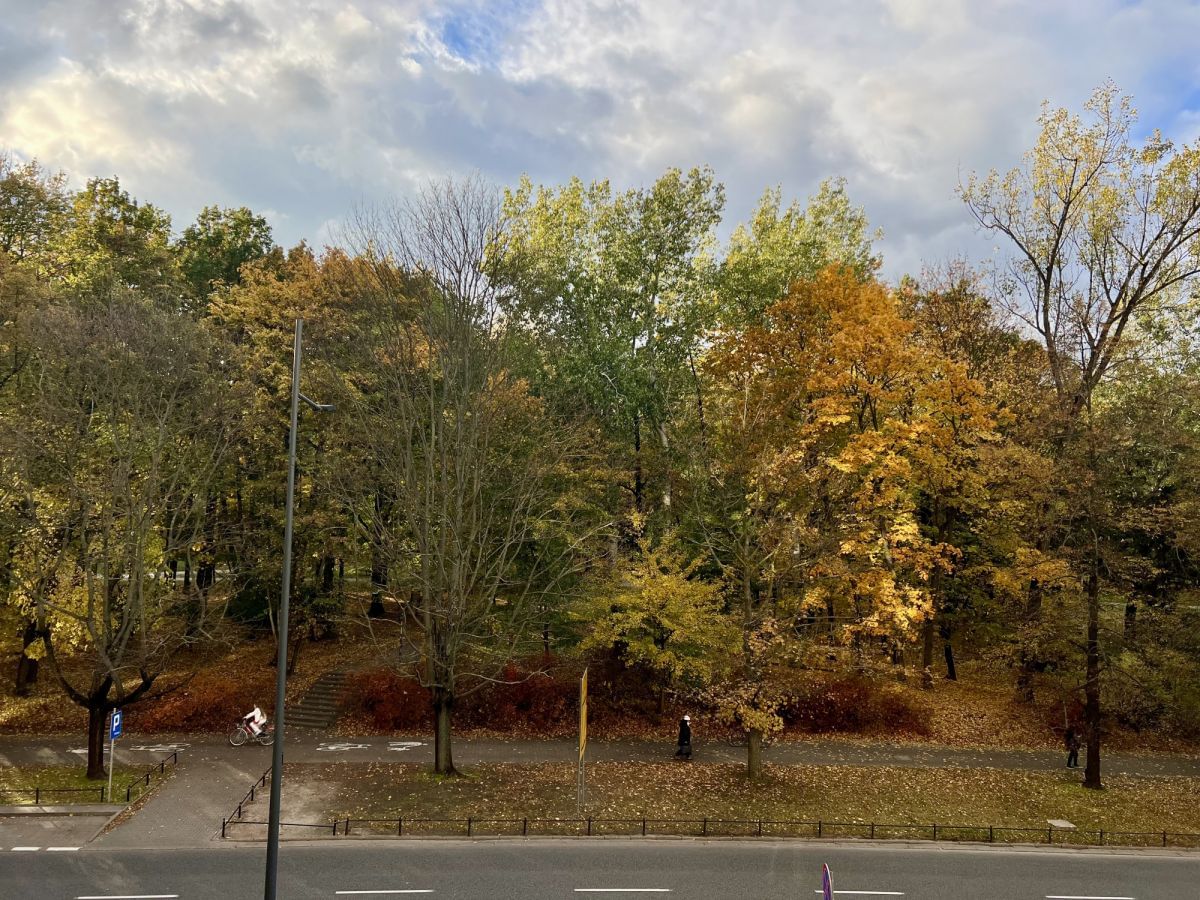 Mieszkanie 2 pokojowe na Wynajem