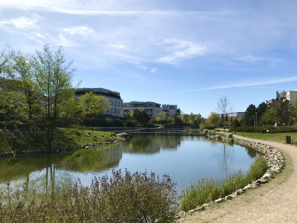 Mieszkanie 1 pokojowe na Wynajem