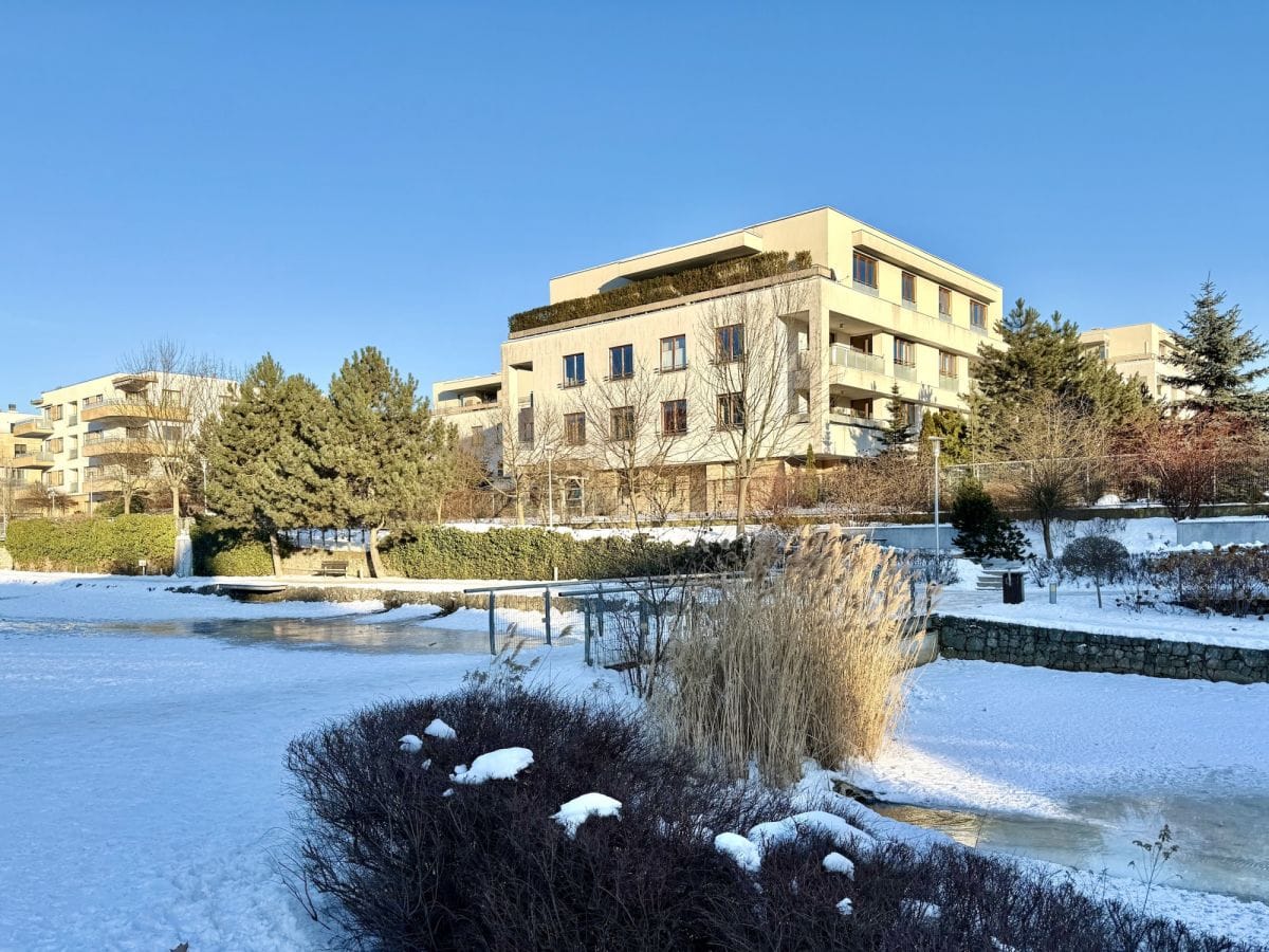 Mieszkanie 1 pokojowe na Wynajem