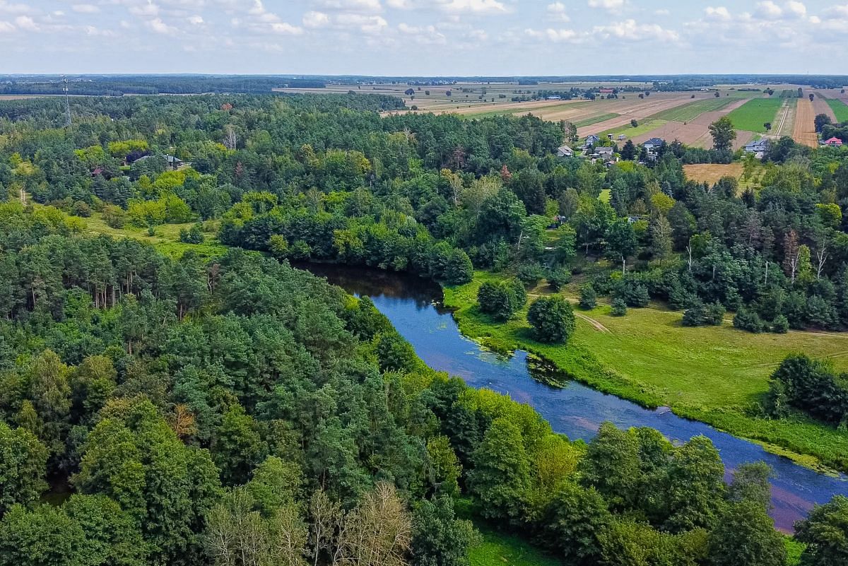 Dom 5 pokojowe na Sprzedaż