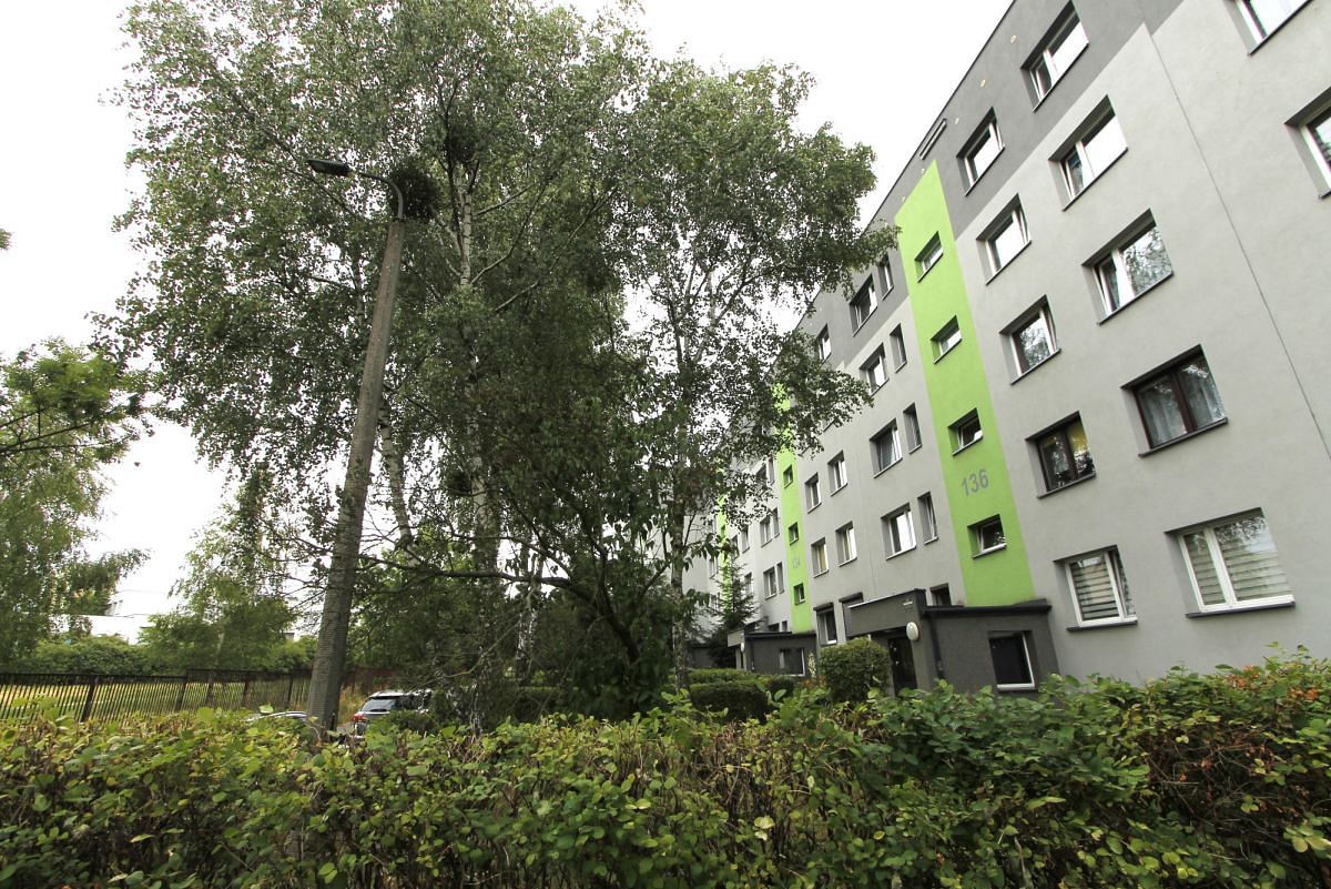 Mieszkanie 3 pokojowe na Sprzedaż